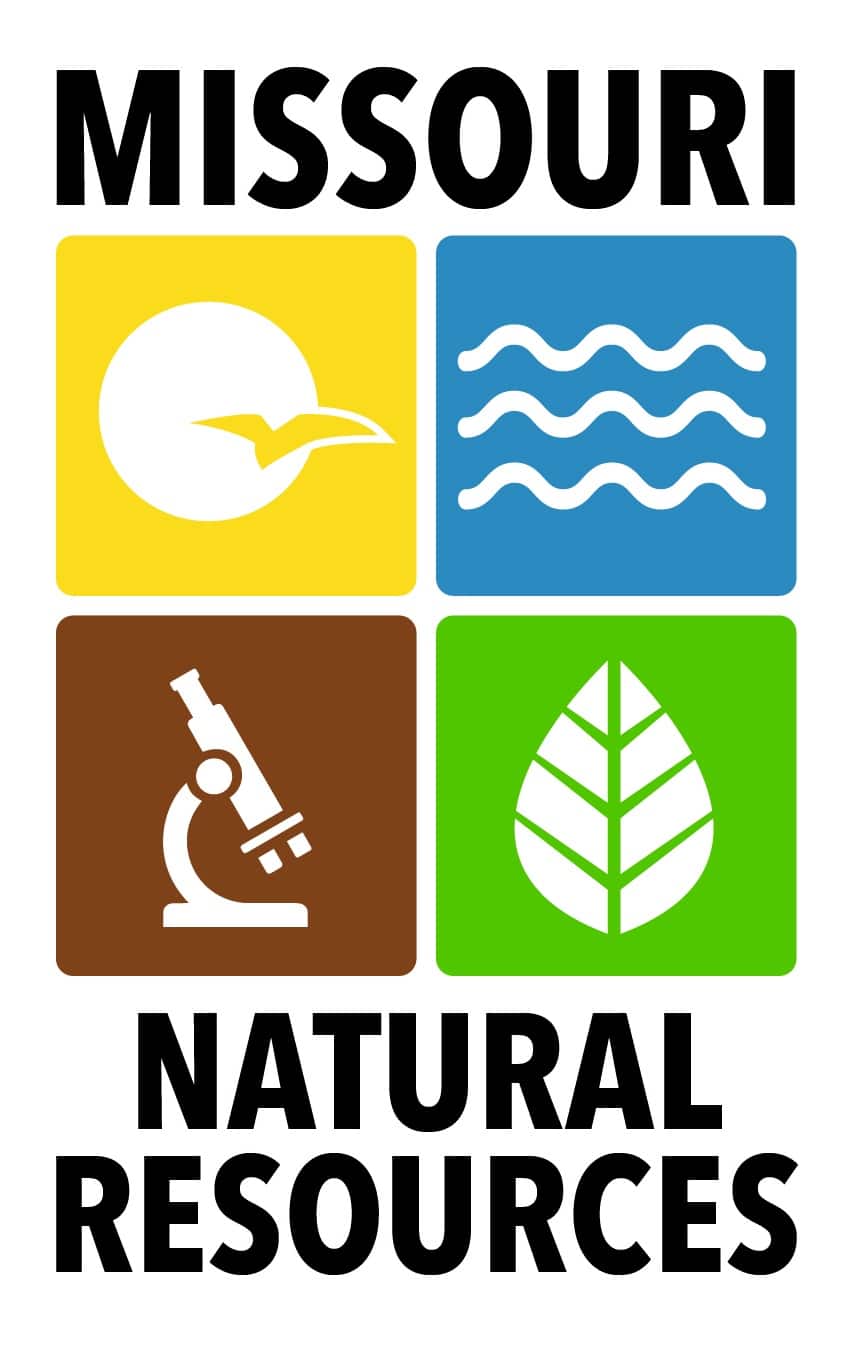 dnr logo color